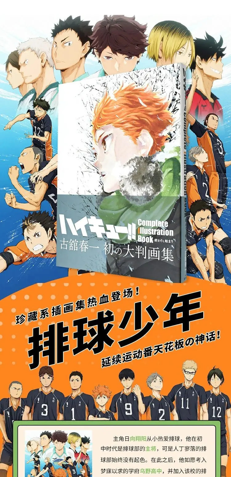 Japan Anime Haikyu!! Art Collection Cartoon Manga Book Japanese Edition Comic Official Formula Set Book Hinata Shoyo