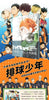 Japan Anime Haikyu!! Art Collection Cartoon Manga Book Japanese Edition Comic Official Formula Set Book Hinata Shoyo